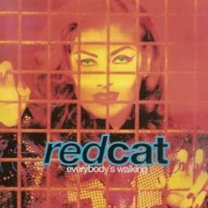 Red Cat подбор песен на гитаре