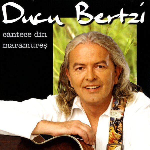Ducu Bertzi подбор песен на гитаре