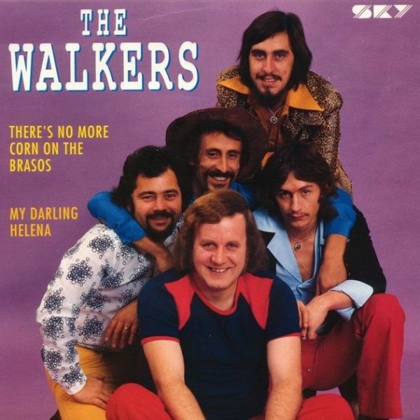 The Walkers подбор песен на гитаре