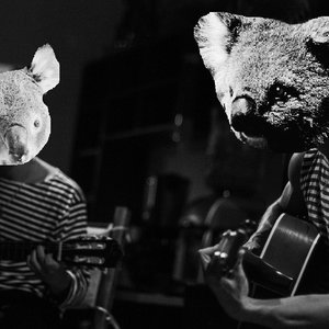 Мишки коалы подбор песен на гитаре