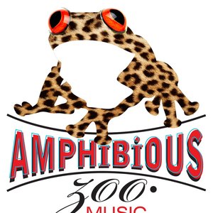 Amphibious Zoo подбор песен на гитаре