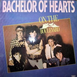 Bachelor of Hearts подбор песен на гитаре